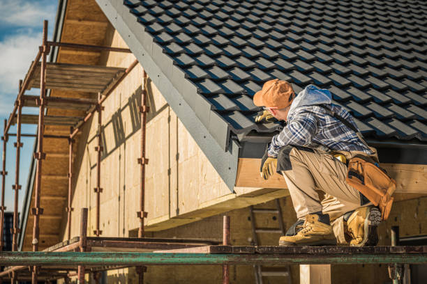 Best Roof Moss and Algae Removal  in St Louis, MO