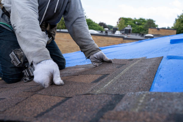 Best Green or Eco-Friendly Roofing Solutions  in St Louis, MO